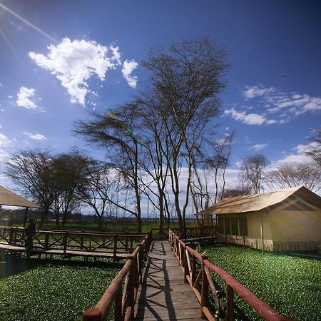 Kiboko Luxury Camp Hotel Naivasha Buitenkant foto