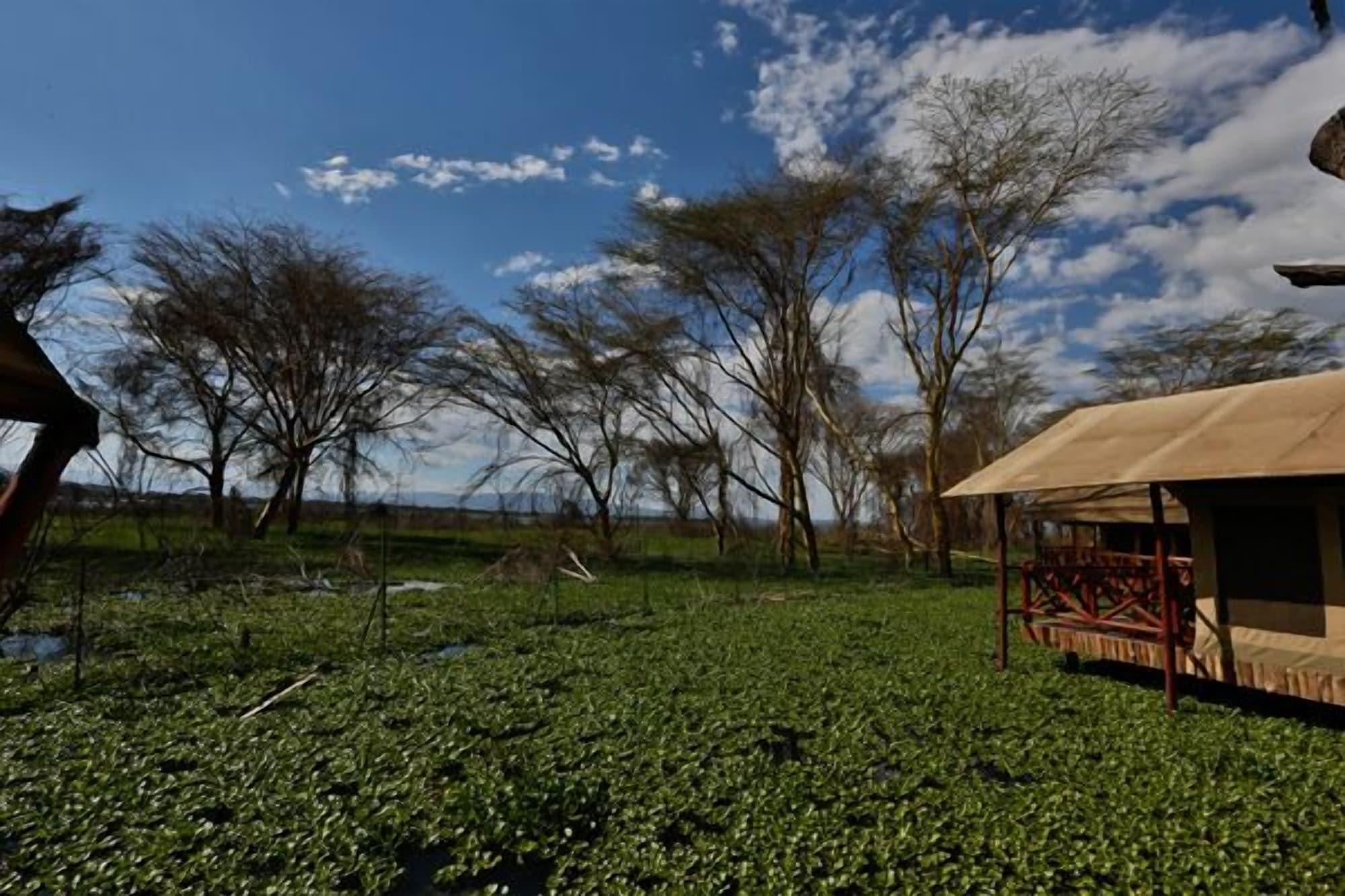 Kiboko Luxury Camp Hotel Naivasha Buitenkant foto